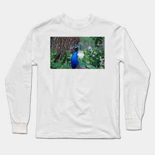 Peacock Profile Long Sleeve T-Shirt